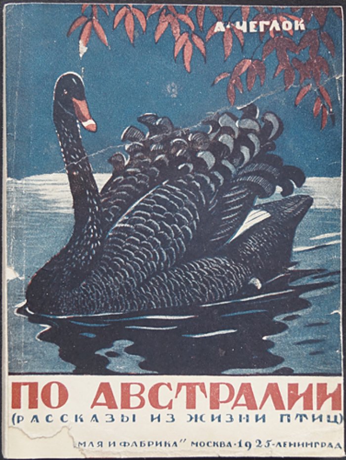 Чеглок. По Австралии: рассказы из жизни птиц