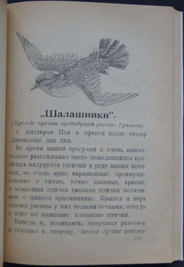 Чеглок. По Австралии: рассказы из жизни птиц