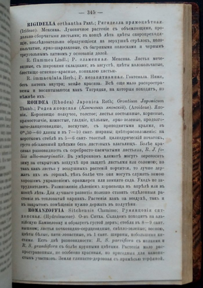 Каменский. Садовник-любитель: воздушные многолетние травянистые растения