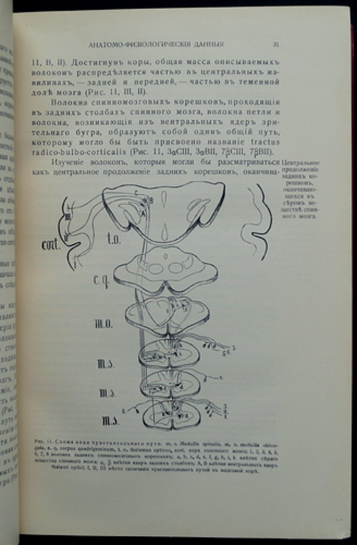 Даркшевич Л. Курс нервных болезней. Том 1 — переработанное издание (1912)