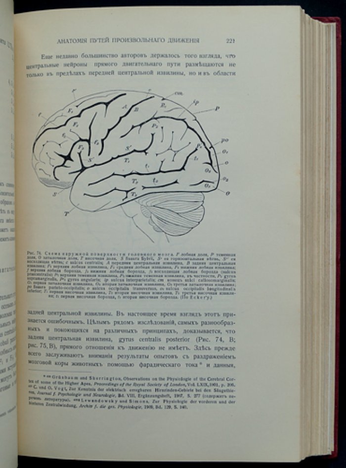 Даркшевич Л. Курс нервных болезней. Том 1 — переработанное издание (1912)