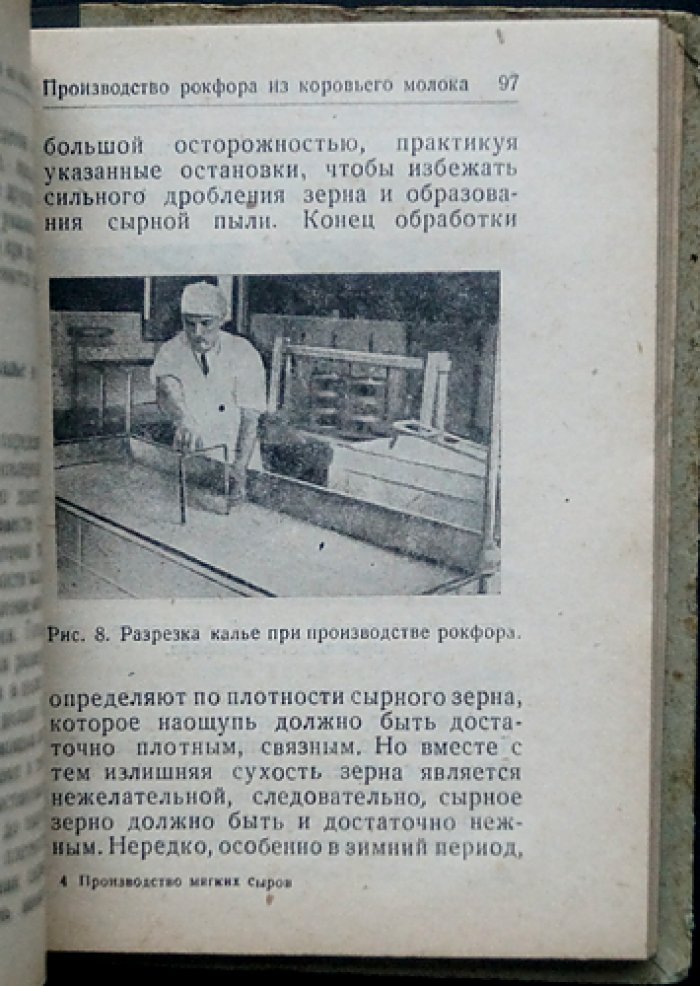 Производство мягких сыров: камамбер, бри, горгонзола и другие сорта — технология и требования к молоку
