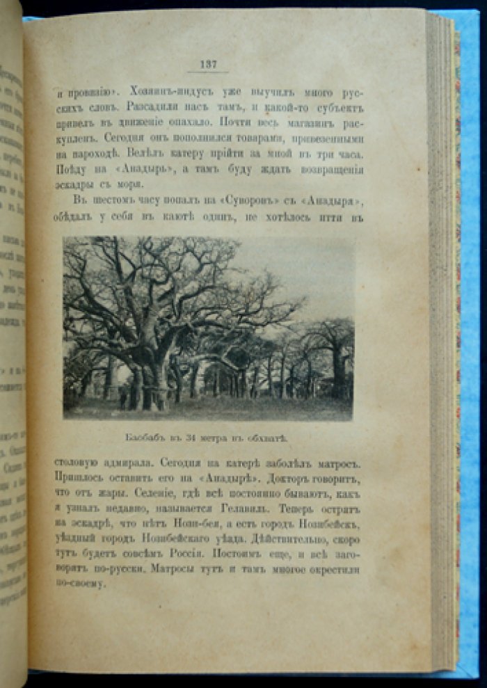 От Либавы до Цусимы: письма к жене флагманского корабельного инженера 2-й Тихоокеанской эскадры (посмертное издание)