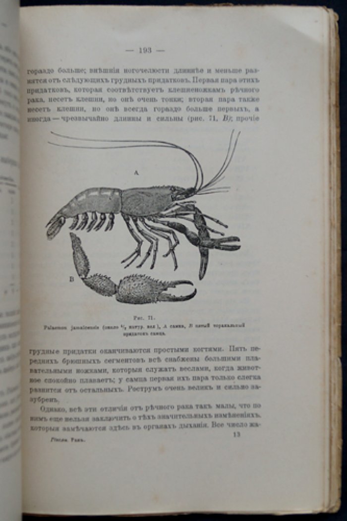 Гексли Т. Г. Рак: введение в изучение зоологии (с рисунками)