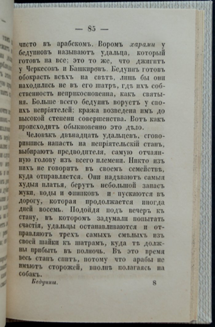 Бедуины: приключенческая повесть по Фенимору Куперу (для юношества)