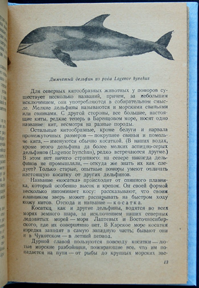 За морским зверем: очерки о промысловых зверях Арктики