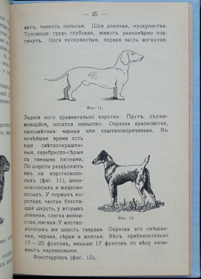 Собака: породы, воспитание, уход, дрессировка и лечение болезней (3-е издание, 1915)