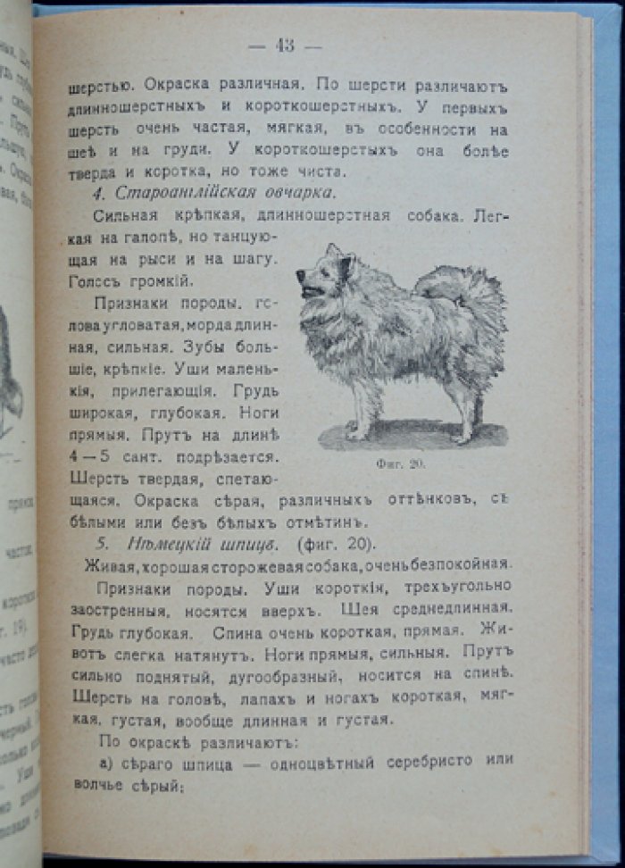 Собака: породы, воспитание, уход, дрессировка и лечение болезней (3-е издание, 1915)