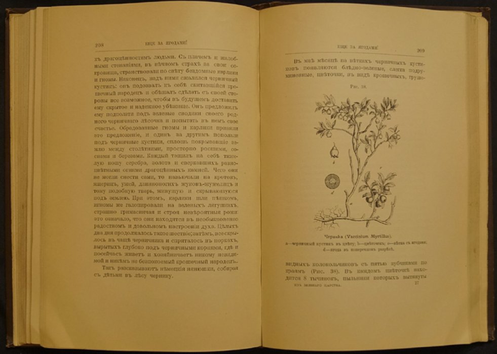 Из зелёного царства. Популярные очерки о мире растений