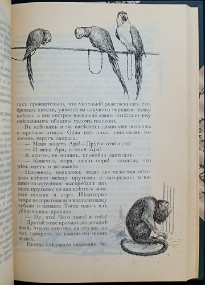 Хруп. Воспоминания крысы-натуралиста