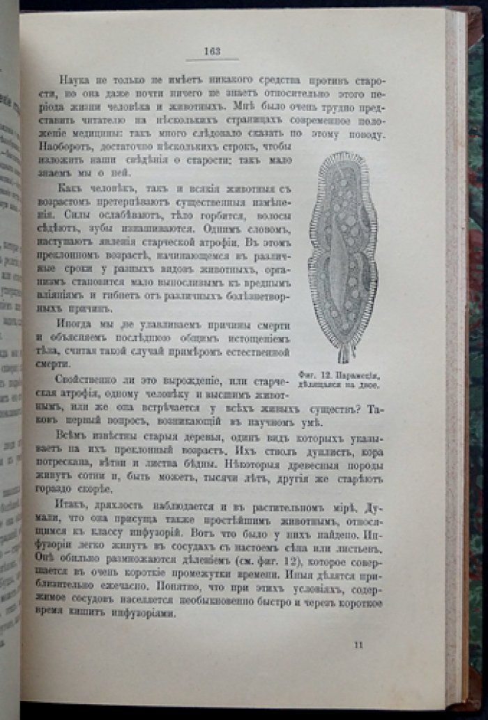 И.И. Мечников. Этюды о природе человека: гармония и дисгармония, эволюция, болезни, старость и смерть (прижизненное издание 1904)