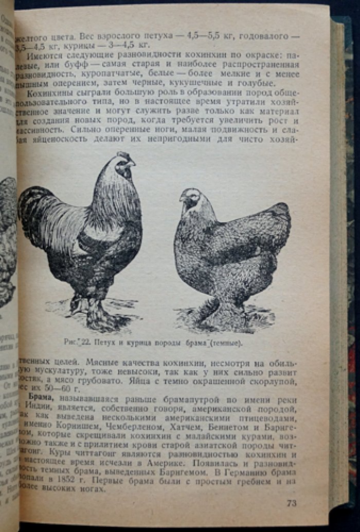 Птицеводство: основы разведения, кормления, содержания и инкубации сельскохозяйственной птицы