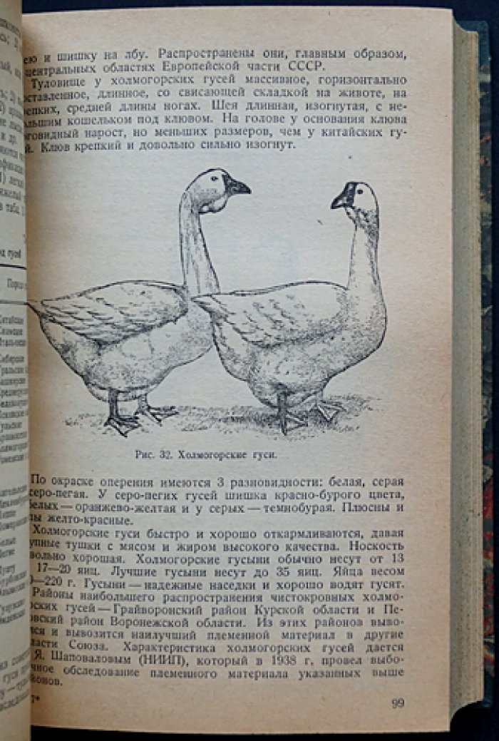 Птицеводство: основы разведения, кормления, содержания и инкубации сельскохозяйственной птицы