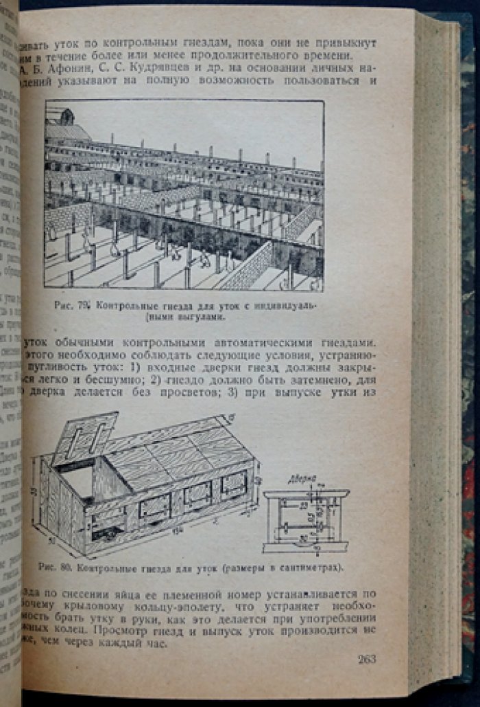Птицеводство: основы разведения, кормления, содержания и инкубации сельскохозяйственной птицы