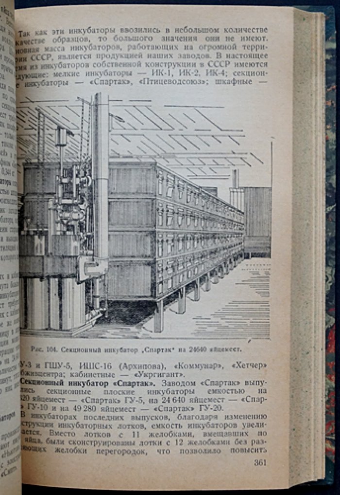 Птицеводство: основы разведения, кормления, содержания и инкубации сельскохозяйственной птицы