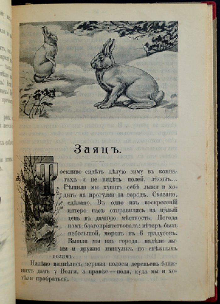 Чеглок А. Родная природа. Звери, птицы и гады России. Выпуск 2 (12 рассказов)