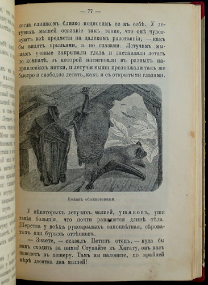 Чеглок А. Родная природа. Звери, птицы и гады России. Выпуск 2 (12 рассказов)