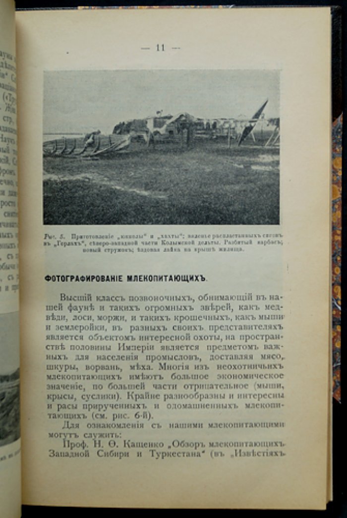Охота с камерой: фотографирование живой природы. Фотографические приборы и процессы (в двух частях)