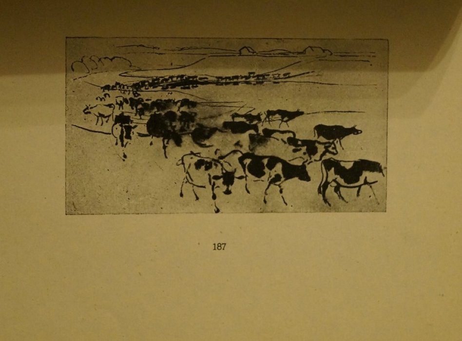 Н. Н. Куприянов. Очерк о жизни и творчестве (1927)