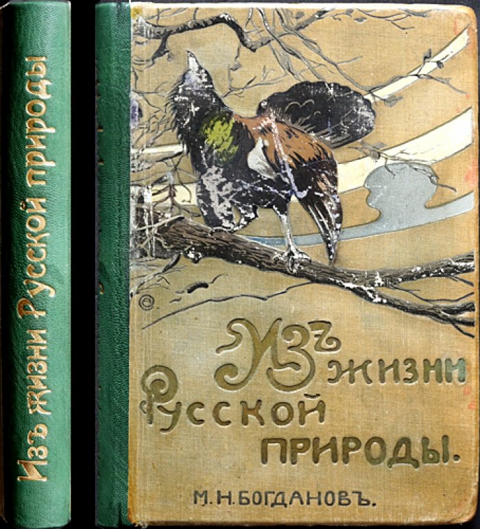Из жизни русской природы: зоологические очерки и рассказы