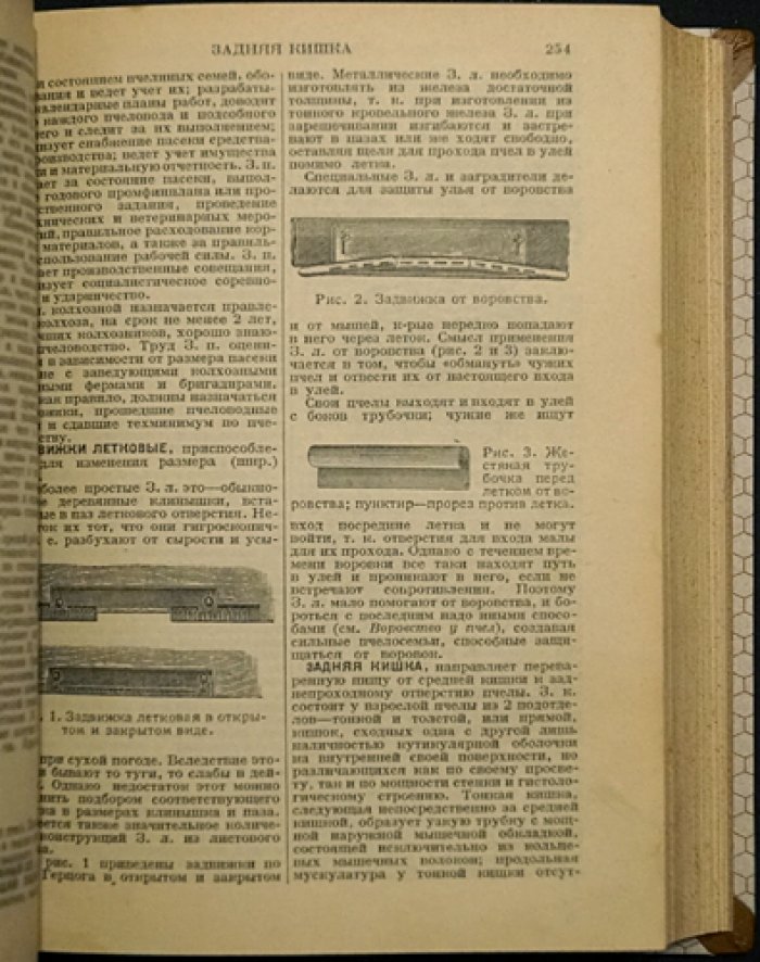 Словарь-справочник по пчеловодству: биология пчелиной семьи, уход, содержание, разведение и технологии