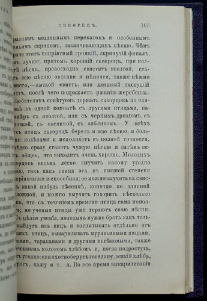 Наши певчие птицы: их ловля и содержание в клетках (из записок московского охотника)