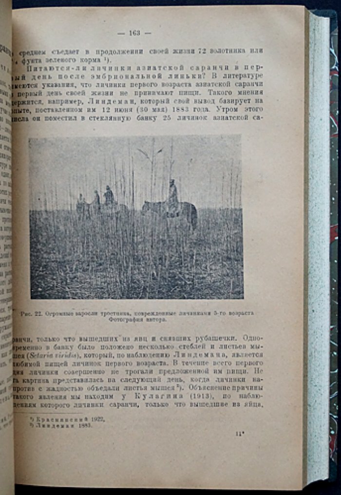Конволют: Саранча и борьба с ней — монографии Никольского и Уварова (1925, 1927)