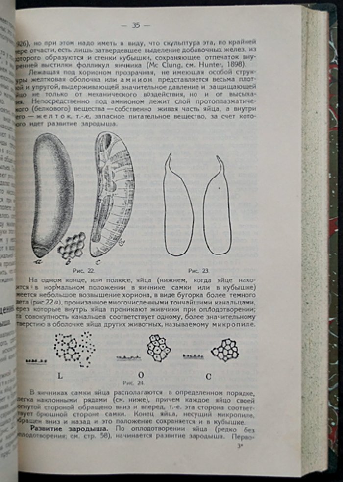 Конволют: Саранча и борьба с ней — монографии Никольского и Уварова (1925, 1927)