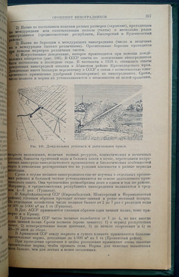 Виноградарство (научные основы и культура винограда)