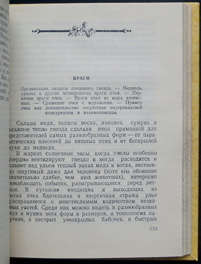 Пчелы. Научно‑популярное издание о жизни общественных насекомых