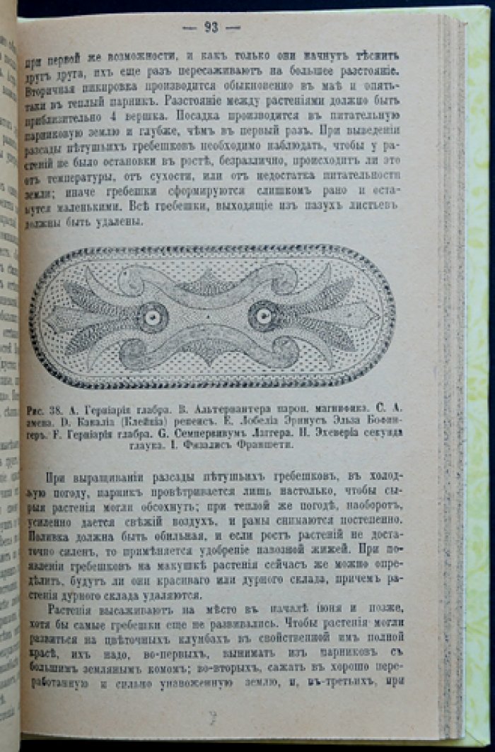 Декоративный дачный и усадебный сад. Практическое руководство по планировке, посадкам и уходу