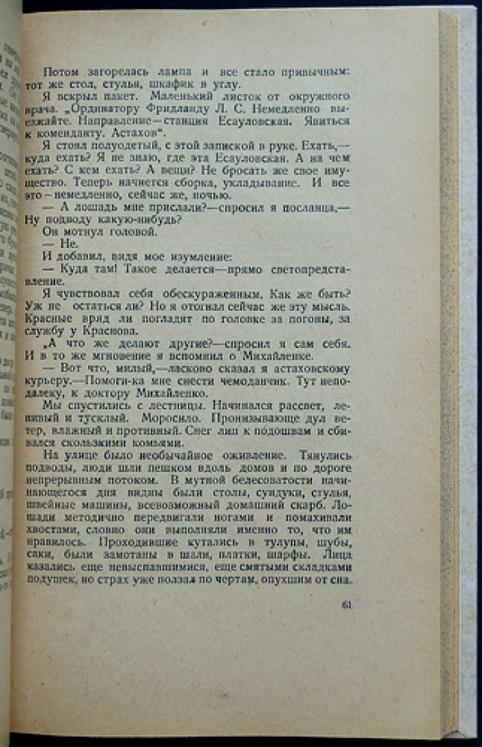 Фридланд Л. С. «Десять месяцев» — документальная повесть о Гражданской войне в Царицыне
