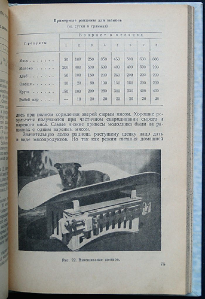 Сельскохозяйственное собаководство: породы, кормление, содержание и дрессировка служебных пастушьих и караульных собак