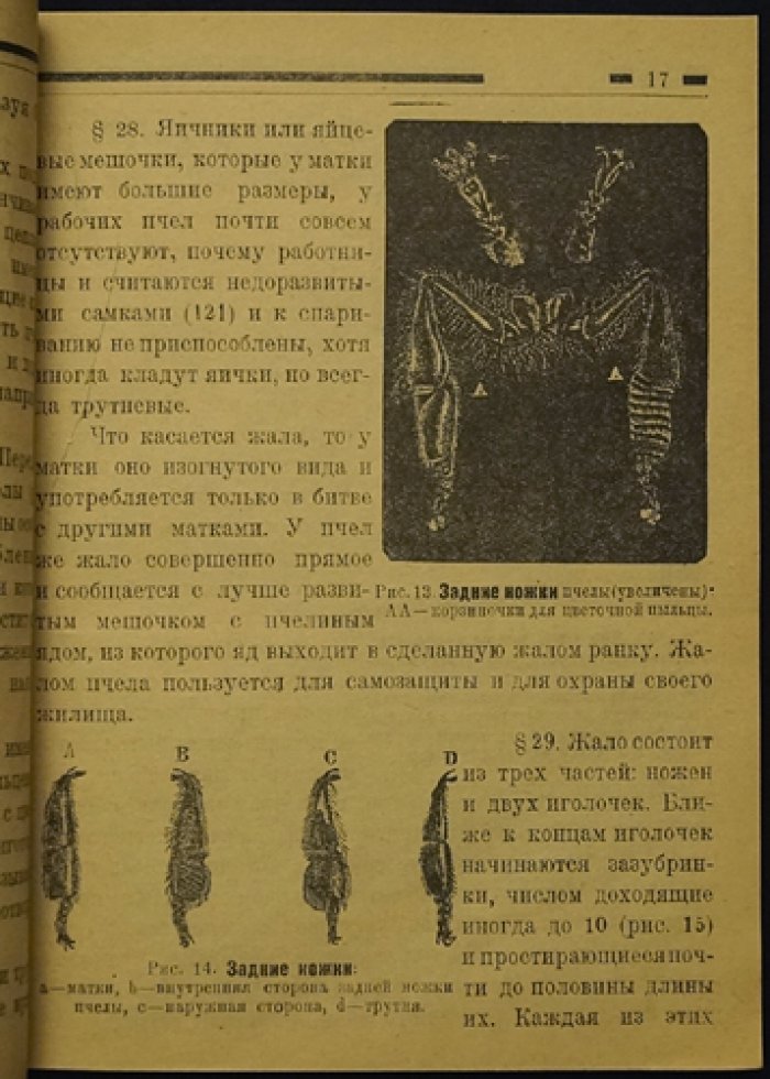 Школа пчеловодства: первые уроки. Иллюстрированное руководство для начинающих