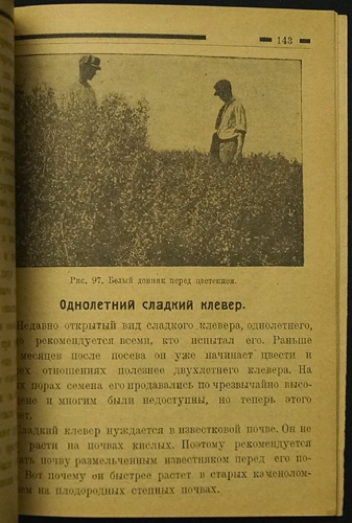 Школа пчеловодства: первые уроки. Иллюстрированное руководство для начинающих