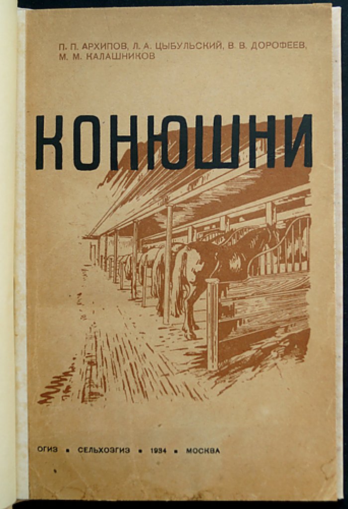 Конюшни: принципы проектирования, планировка и оборудование для рабочих лошадей