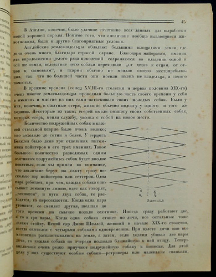Сборник ДОКС’а (зима 1924—1925). Статьи по кинологии, ветеринарии и истории донского кровного собаководства