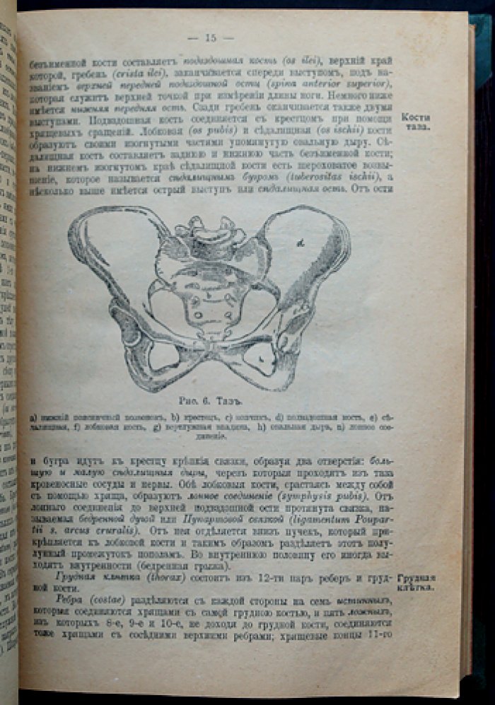Руководство для ротных фельдшеров и фельдшерских учеников (д-р мед. А.И. Баранов). 19-е издание, исправленное и дополненное