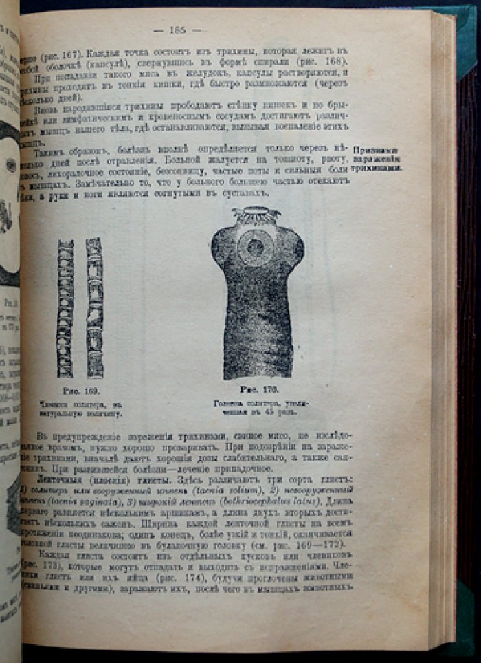 Руководство для ротных фельдшеров и фельдшерских учеников (д-р мед. А.И. Баранов). 19-е издание, исправленное и дополненное