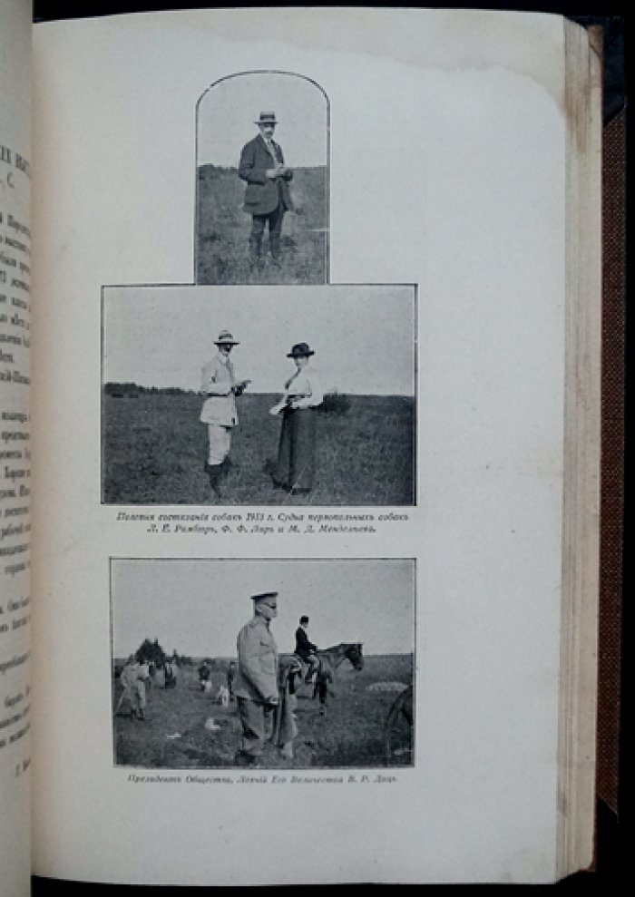 Ежегодник Общества любителей породистых собак за 1913 год