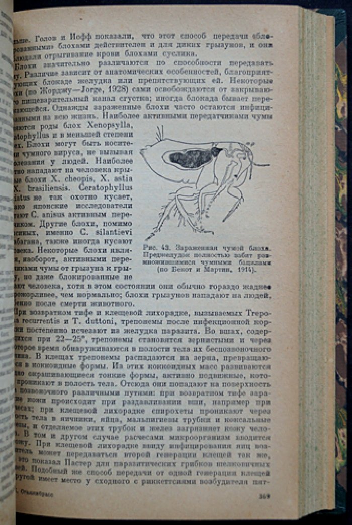 Сталлибрасс. Основы эпидемиологии — систематическое введение в науку о распространении инфекций