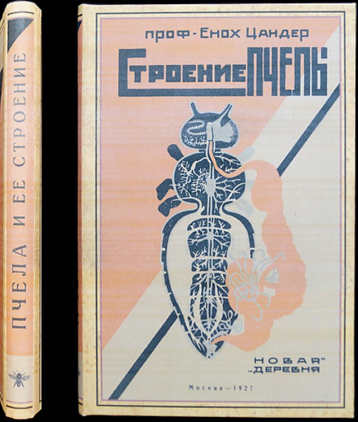 Цандер. Проф. «Строение пчелы»: Пчела и её строение (Том III, руководство по пчеловедению)