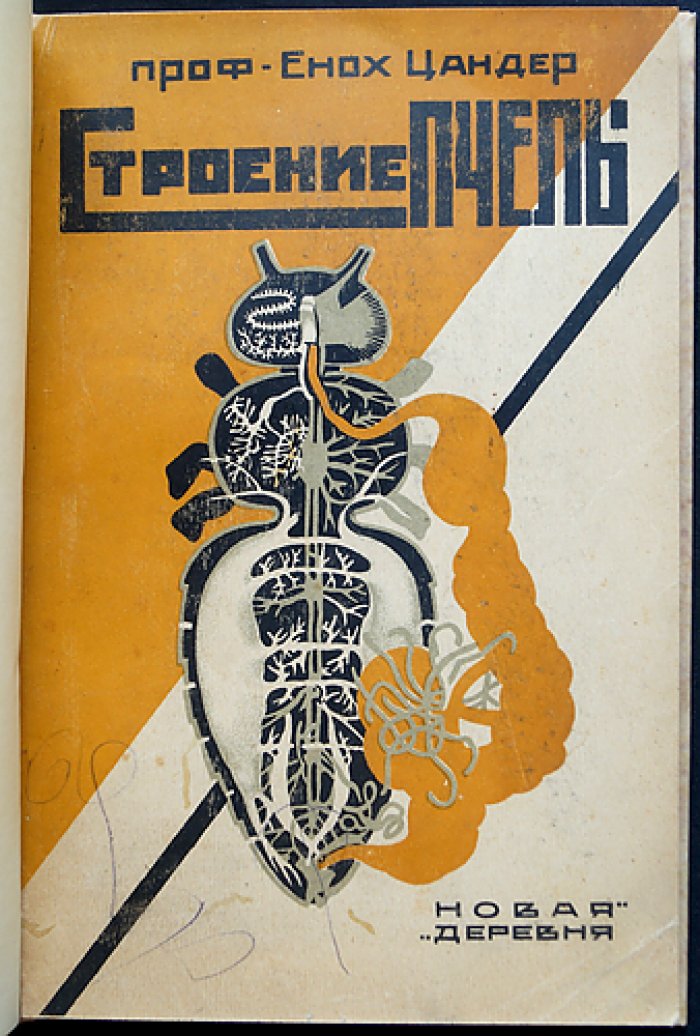Цандер. Проф. «Строение пчелы»: Пчела и её строение (Том III, руководство по пчеловедению)