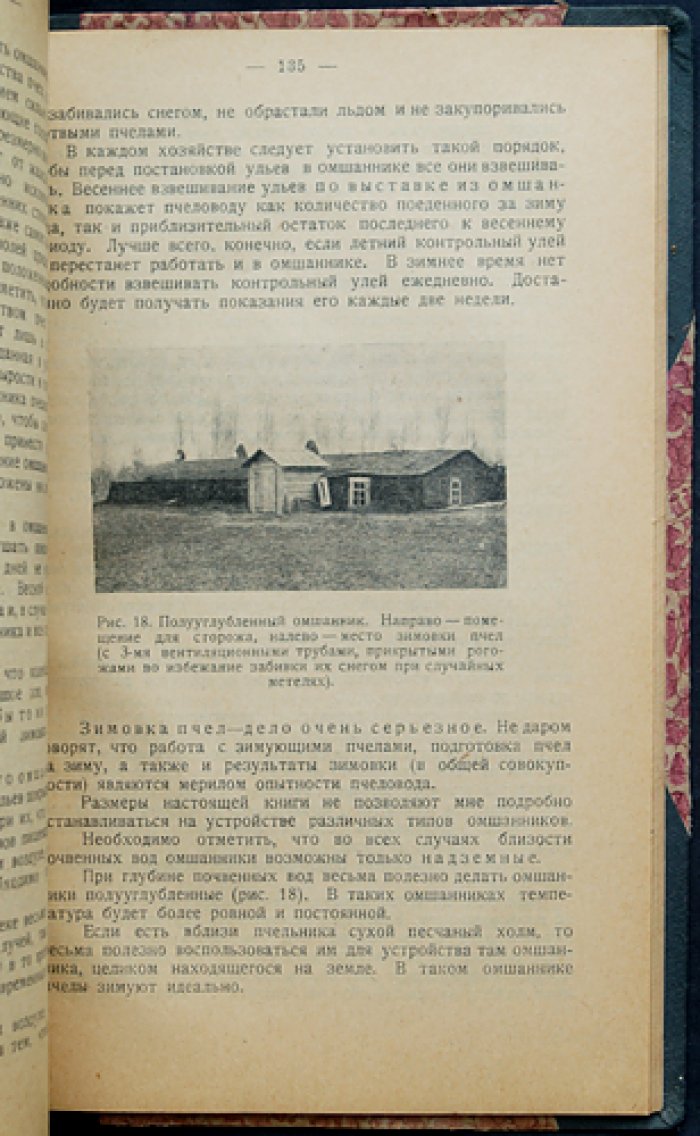 Основные вопросы пчеловодного хозяйства (азбука пасечного дела)