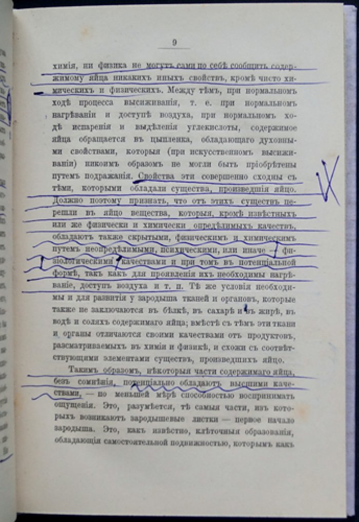 Душа ребенка: наблюдения над духовным развитием человека в первые годы жизни