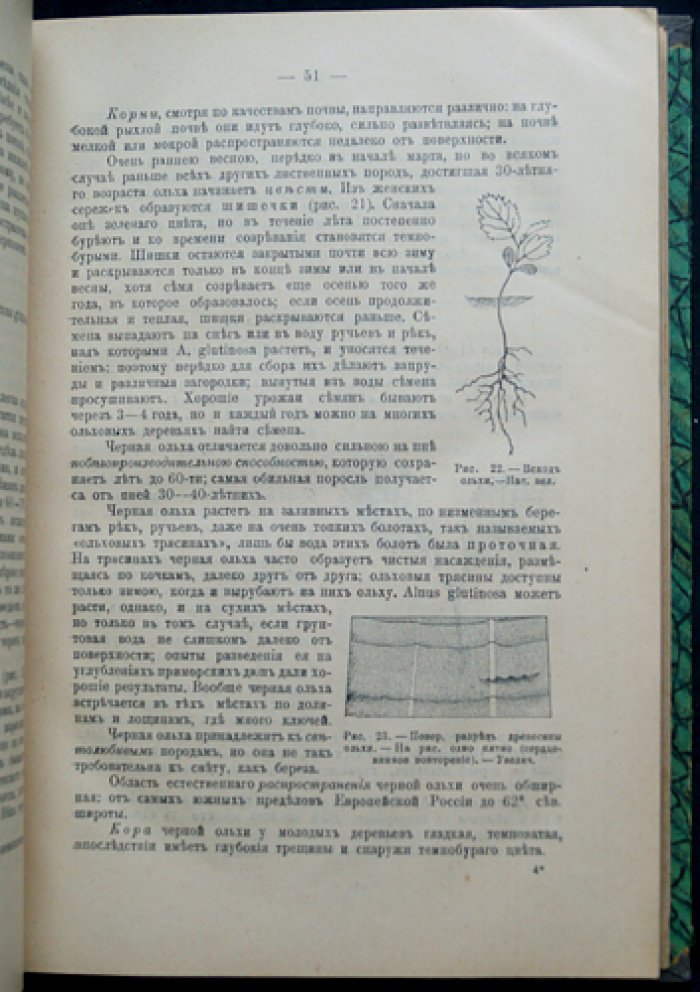 Лесоводство: практическое руководство по лесовозращению и лесной таксации (5-е издание, с рисунками и таблицами)