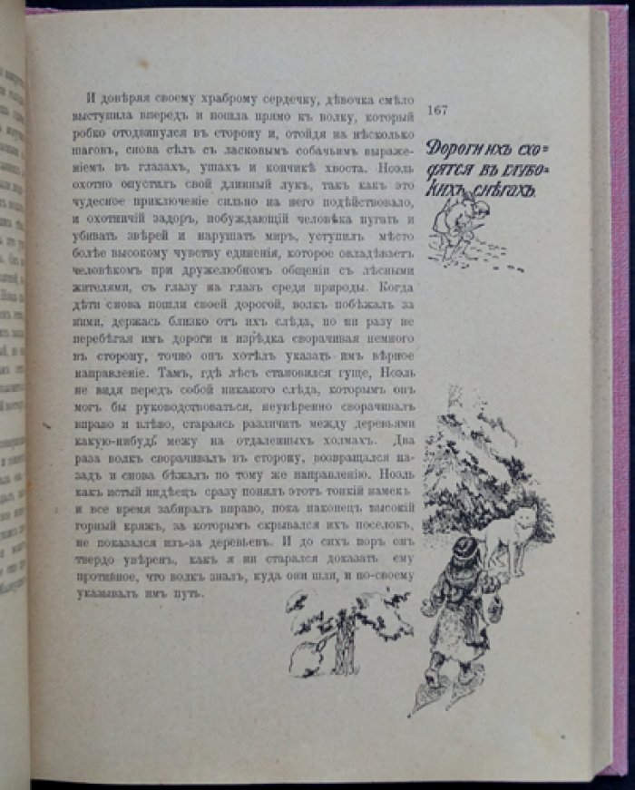 На крайнем Севере. По тропинкам и дорожкам: очерки из жизни животных