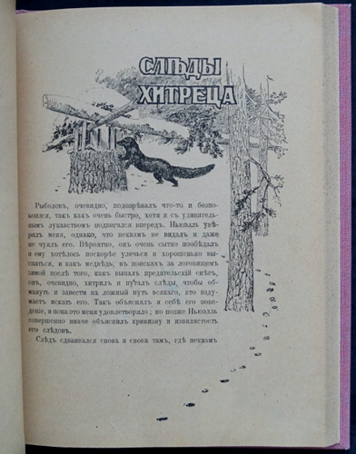 На крайнем Севере. По тропинкам и дорожкам: очерки из жизни животных