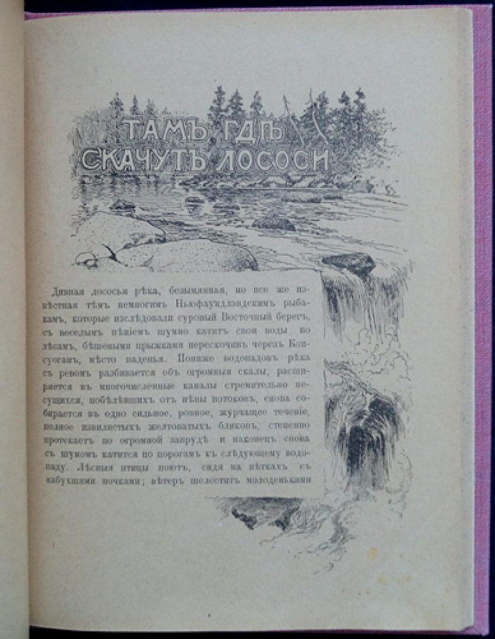 На крайнем Севере. По тропинкам и дорожкам: очерки из жизни животных
