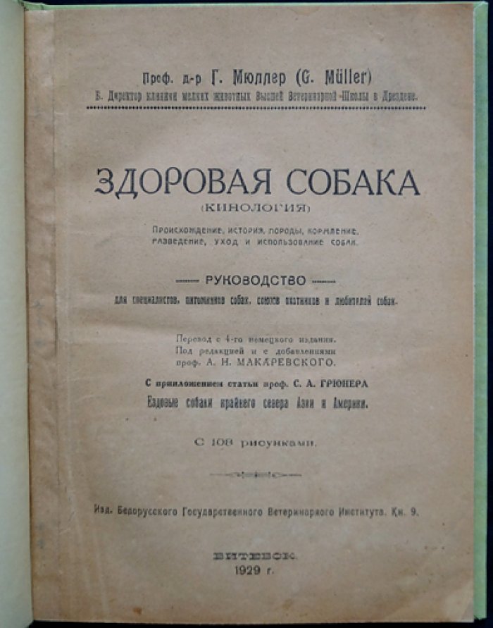Здоровая собака: кинология, породы, кормление, разведение и уход (с иллюстрациями)